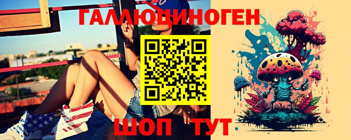 Псилоцибиновые грибы прущие грибы Ялта