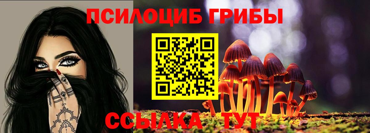 Галлюциногенные грибы Psilocybine cubensis  Вход с VPN  магазин продажи наркотиков  Псилоцибиновые грибы Cubensis  Ялта 