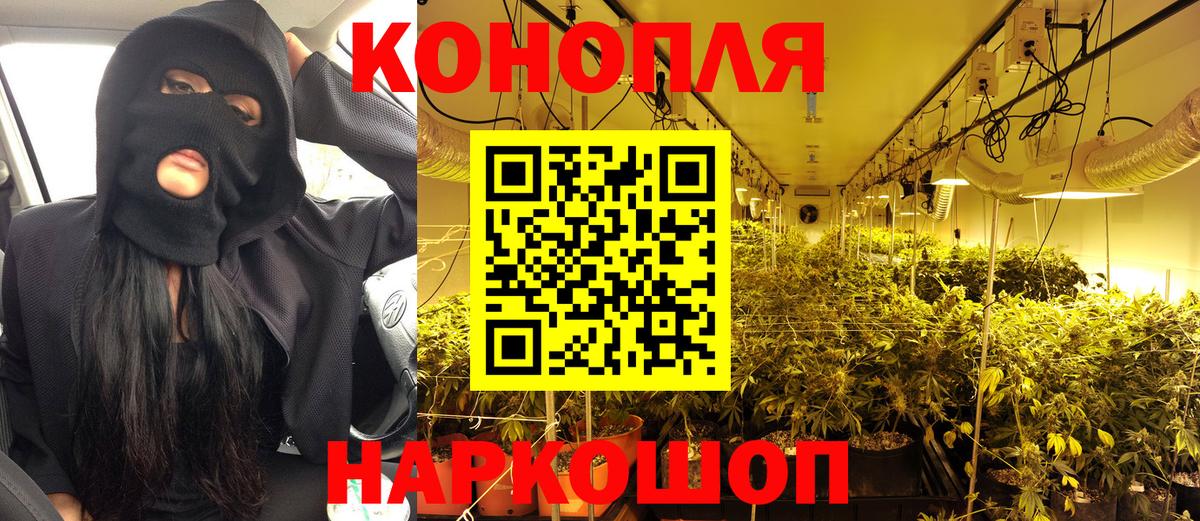 Конопля OG Kush Ялта